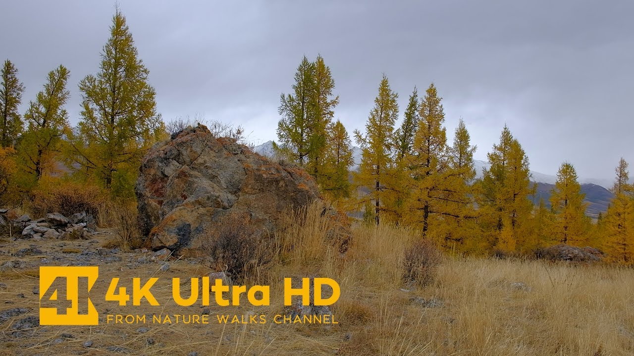 A Small Autumn Walk in the Mountains