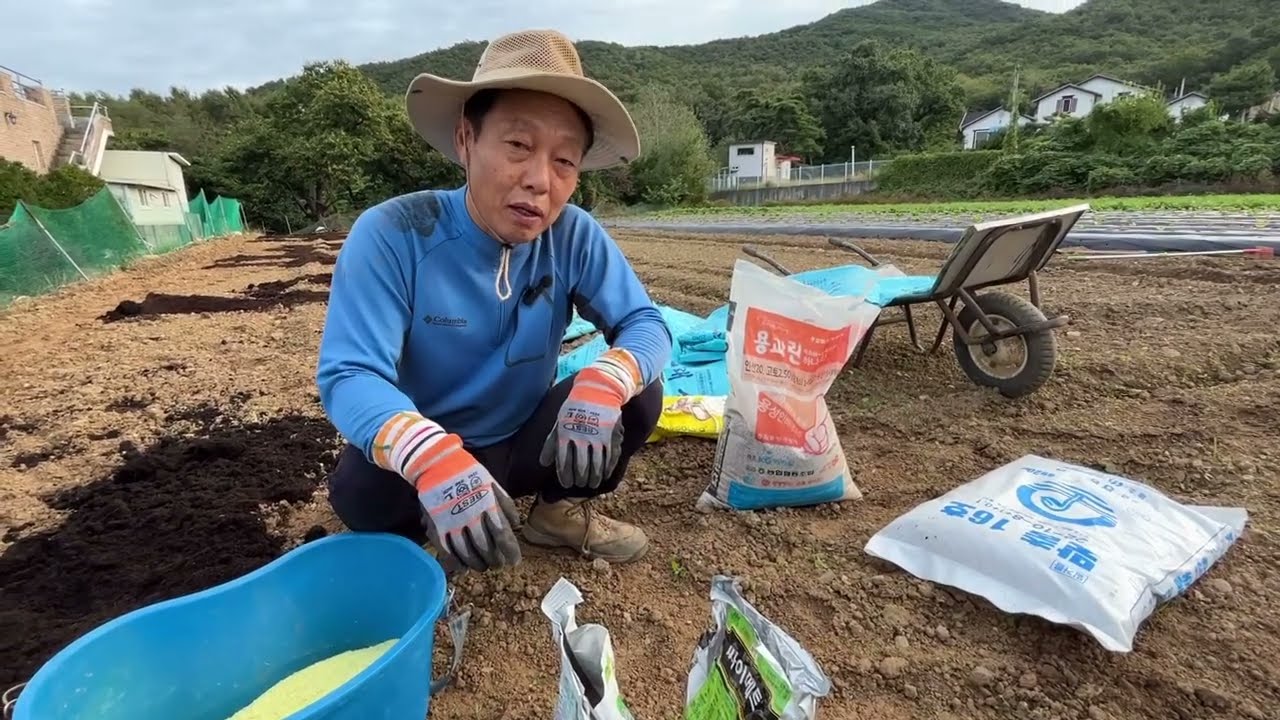 마늘.양파밭 만들기! 이정도해야 평균이상!