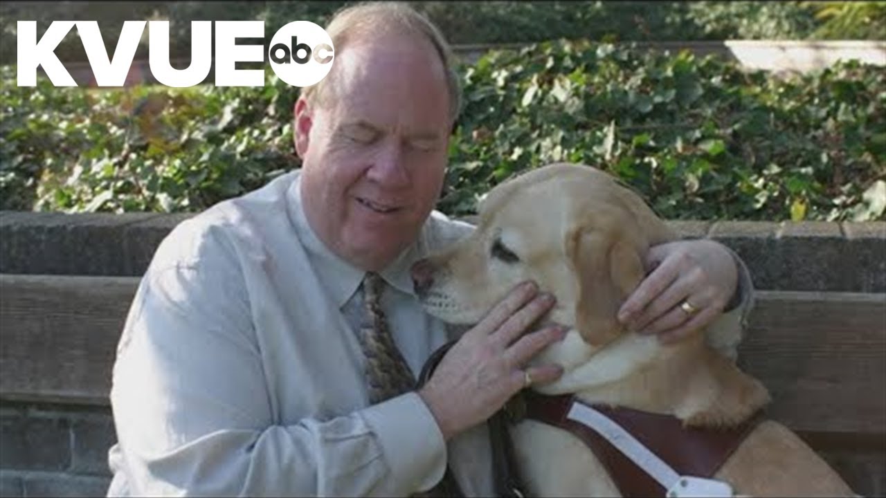 How a guide dog helped her blind owner escape the World Trade Center on 9/11