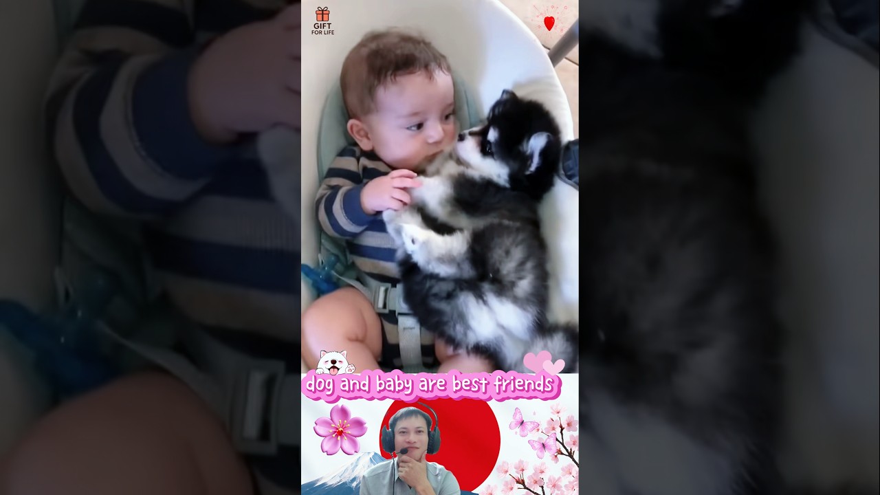 dog and baby are best friends♥️♥️#dog #baby#love #happy#cute #friendship #dogshorts #foryou