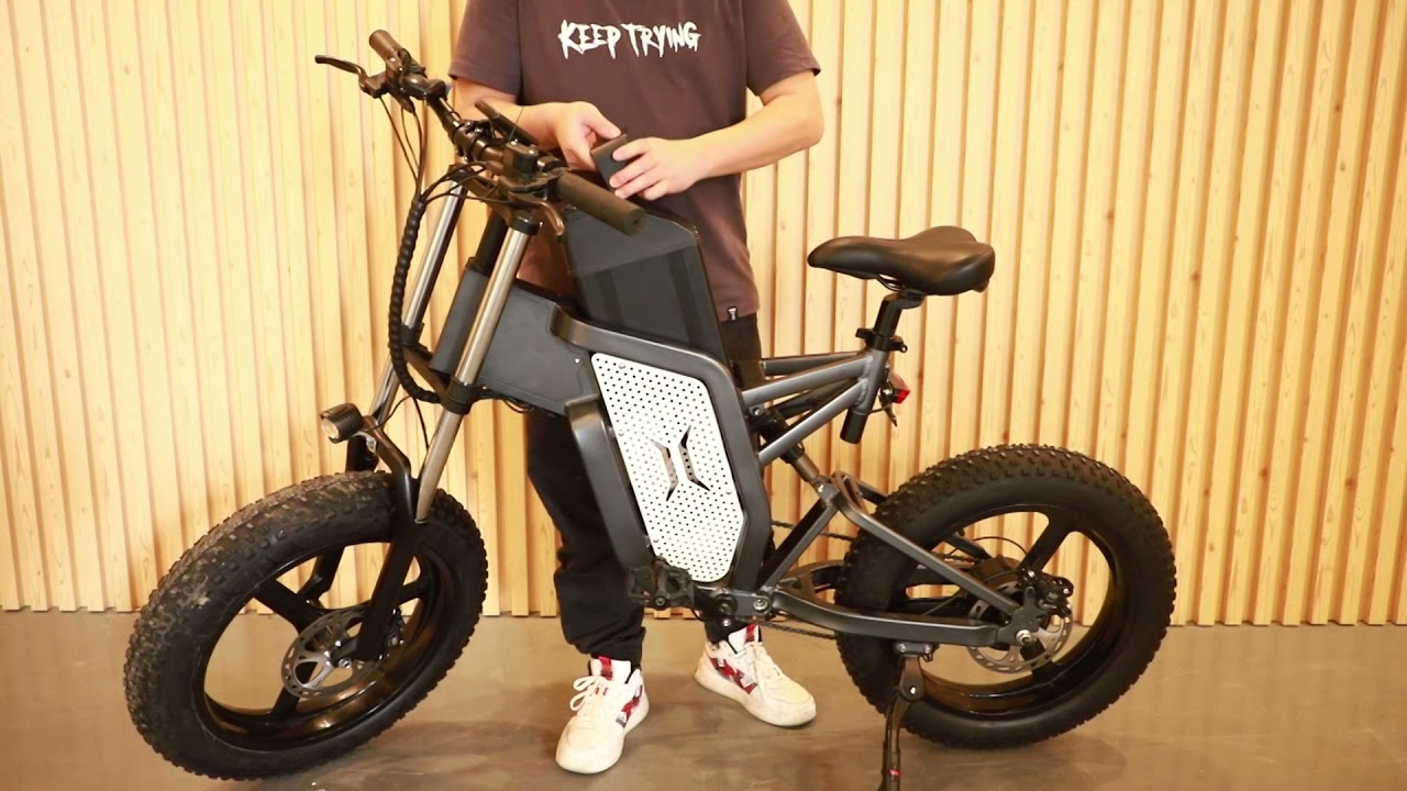 SUINIU 2021 Wholesale Electric Bikes Fat Tire Electric Bicycle Electric Cycle Ebike