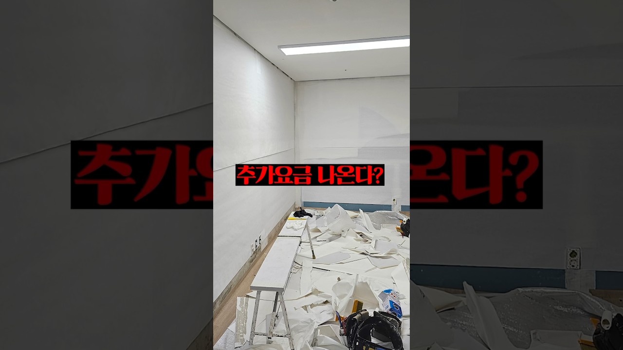 도배하기 전 제일 많이 하는 고민 #도배 #인테리어 #도배비용