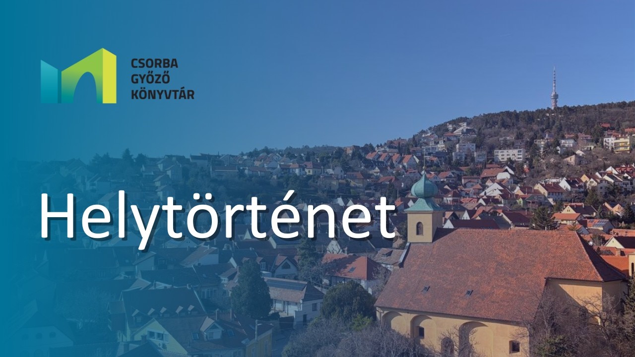 Pécs Megyei Jogú Város Önkormányzata Közgyűlése 2. rész (2004.06.24.) Pécs TV