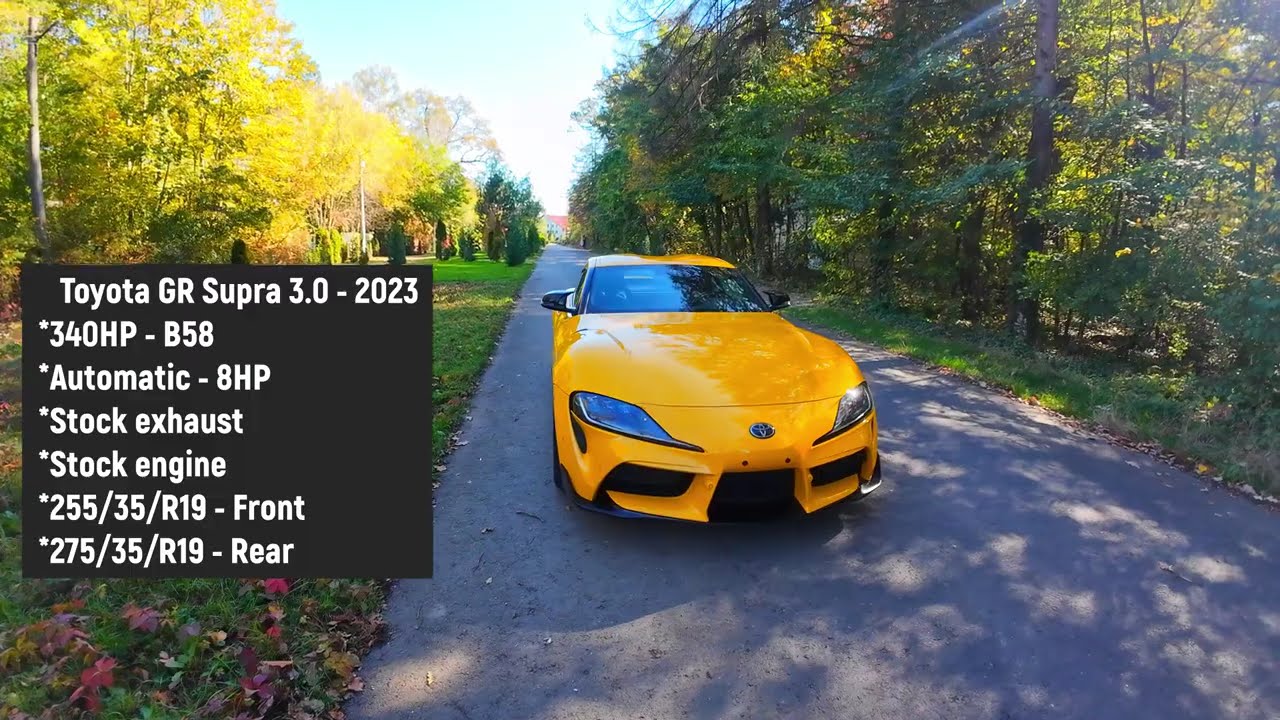 Supra - Forest Run