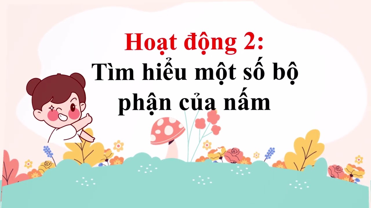 Bài 19  Sự đa dạng của nấm