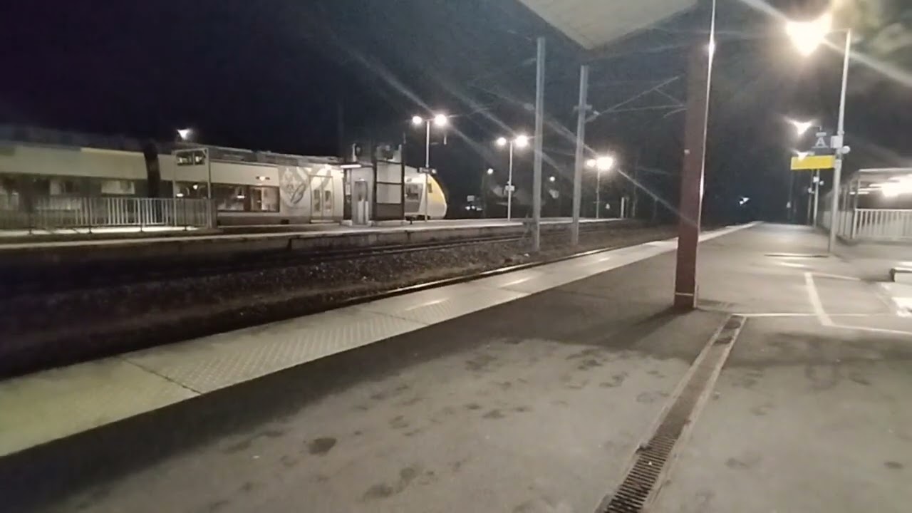 TER Bourgogne Intercités Fret Omneo Premier En Gare de Cosne 