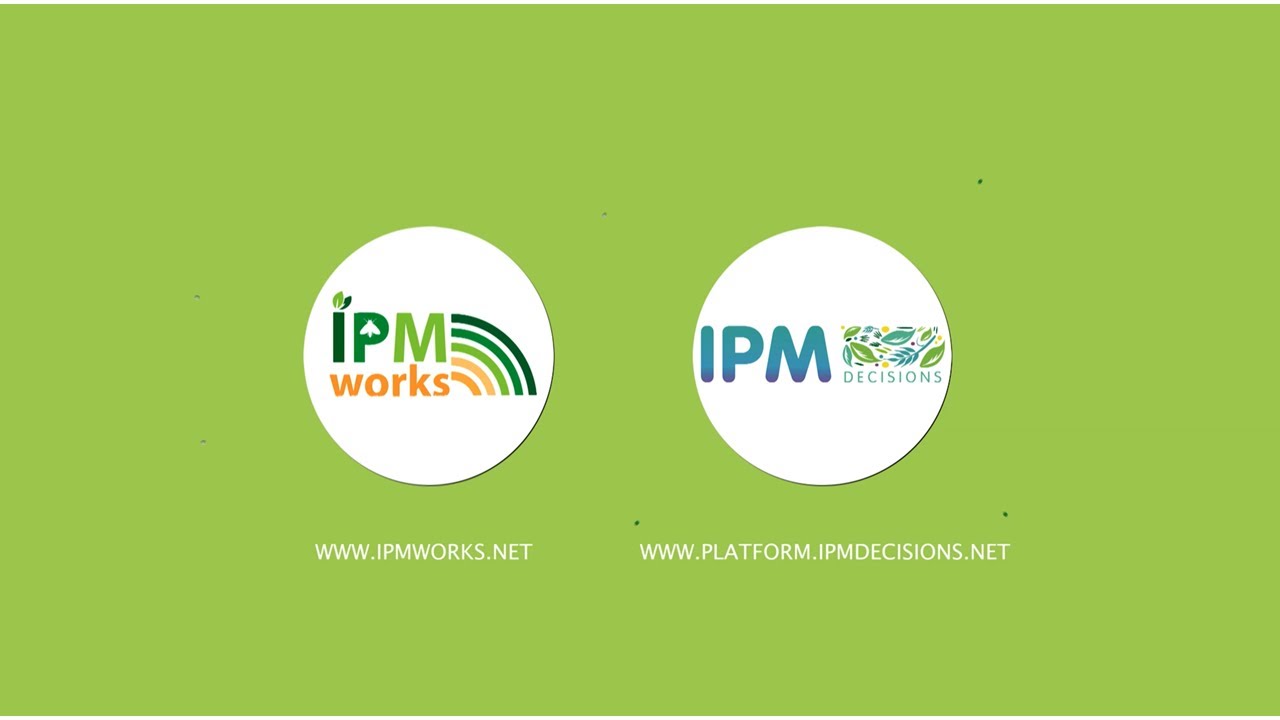 IPMWORKS IPMDecisions 1st version