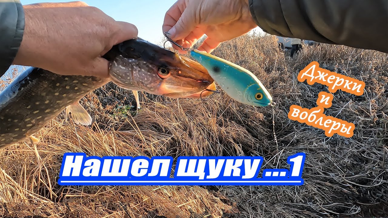 Нашел щуку 1..