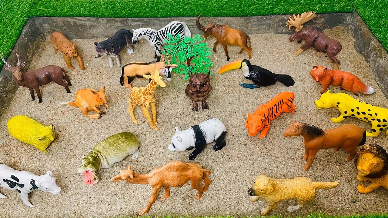 Learn Animal Names for Kids! | Sheep, Giraffe, Lion, Bear, Zebra & More Fun Animals!
