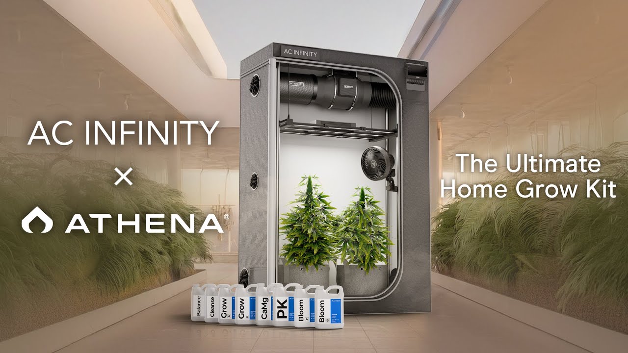 Easy Grow Tent Setup For Beginner Cannabis Growers | AC Infinity x Athena&reg; Cultivator Kit