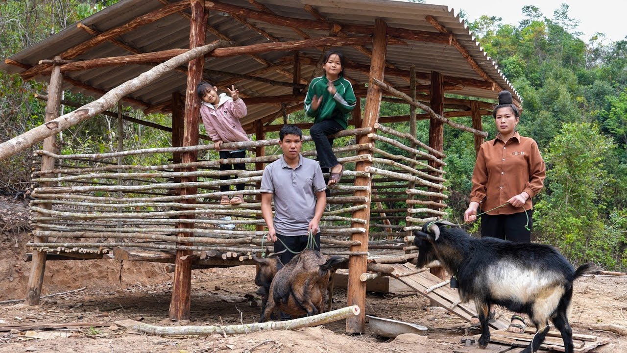 Hoeing soil for gardening, building a new Goat Barn | Family Farm