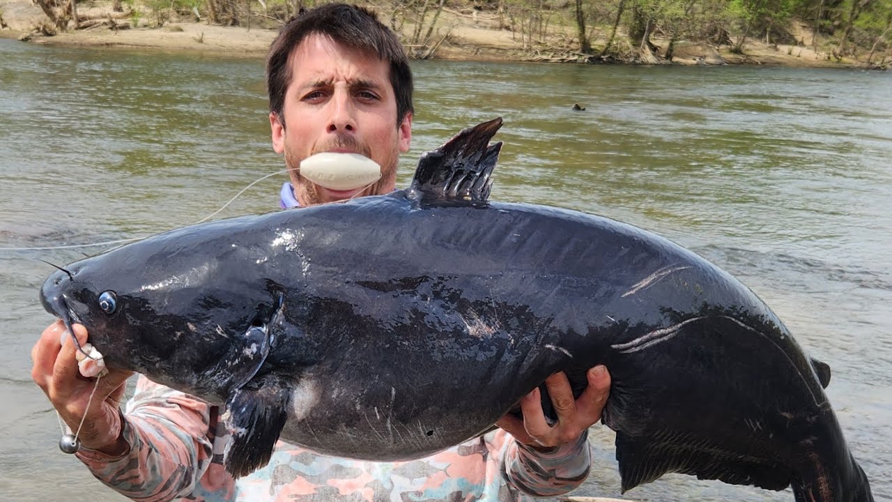 FATKAT™ Rig EXPLAINED — Catch Bigger Catfish, Faster