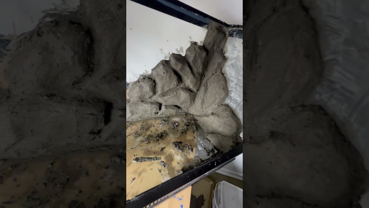 Sneak peak at a new budget vivarium build #reptileshorts #nature #herplife #takydromus #concrete
