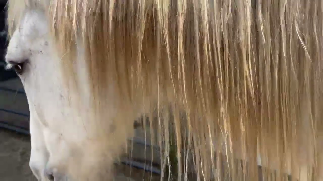 @kavilivinglife 