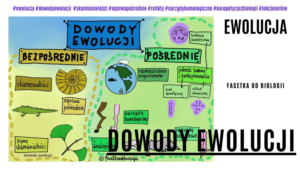 Dowody ewolucji | Źródła wiedzy o ewolucji |Ewolucja i jej dowody | Film edukacyjny | Ewolucja 8 kl