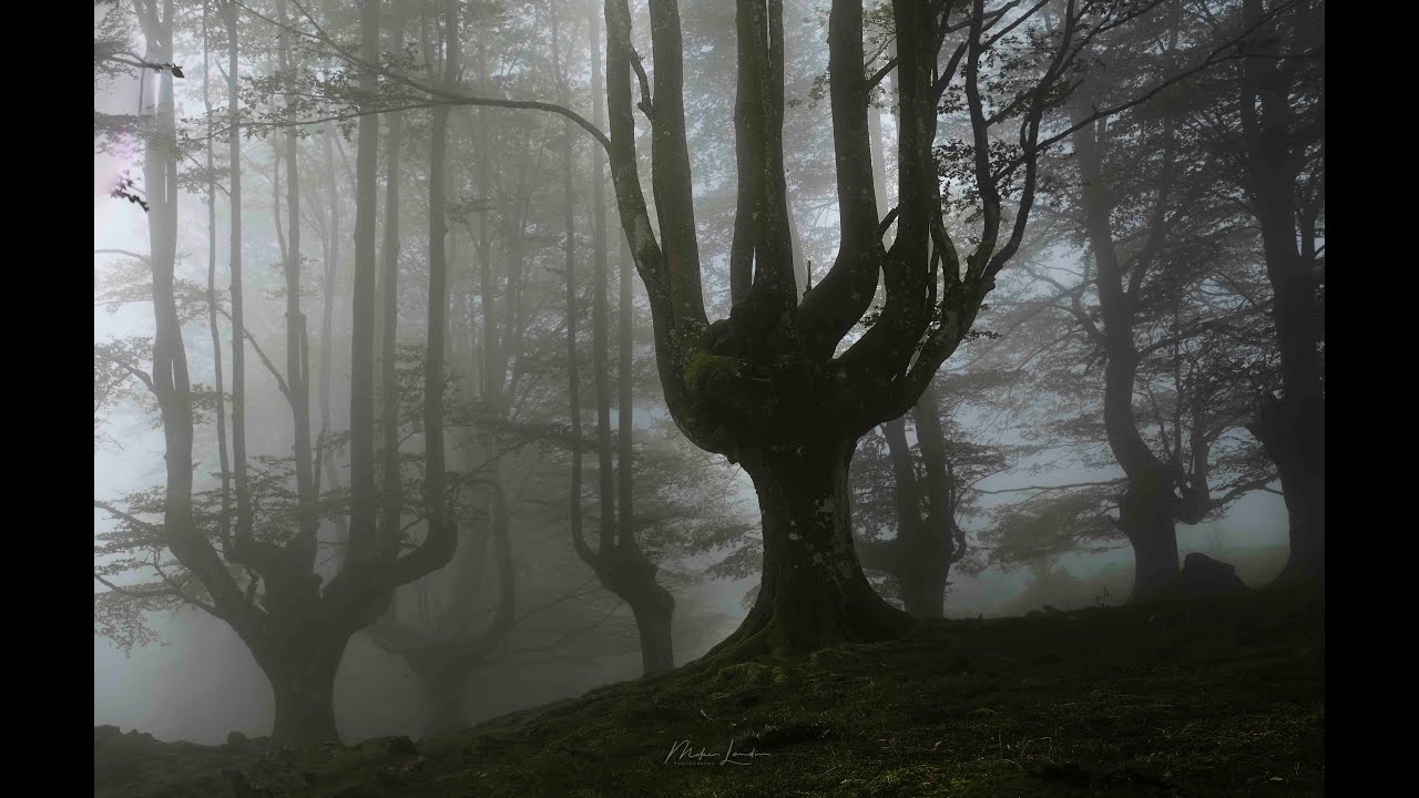 Yo y mi cámara...Niebla, experiencia y algún consejo.
