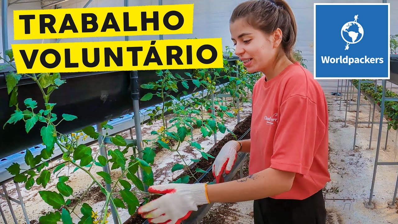 INTERCÂMBIO VOLUNTÁRIO NA COREIA DO SUL