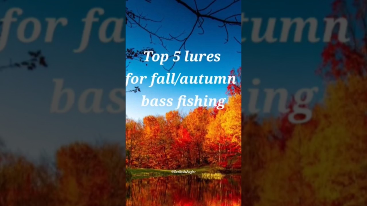 Top 5 fall bass fishing lures 