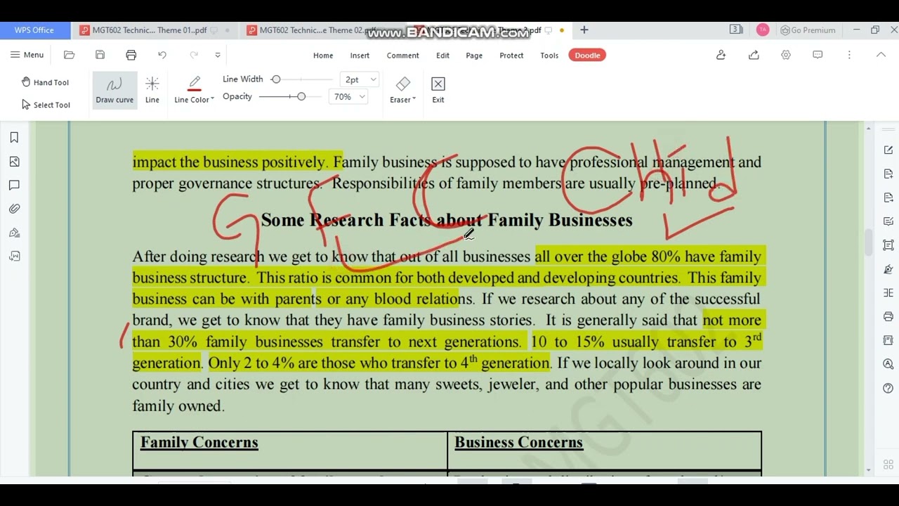 mgt602 entrepreneurship theme no 3 highlighted/ conceptual