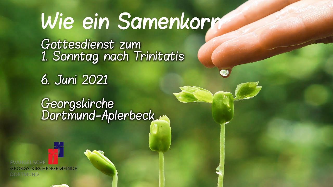 Wie ein Samenkorn