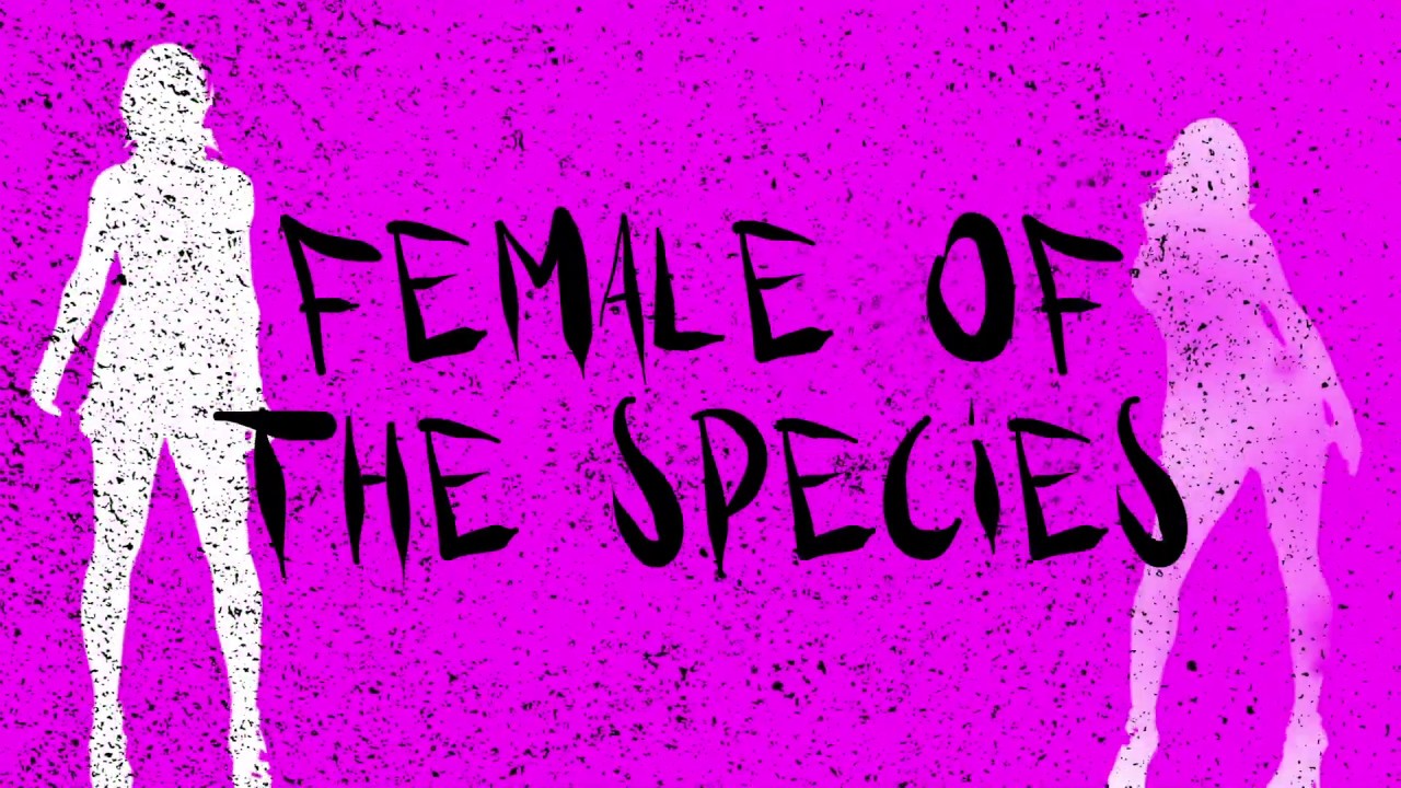 Space - Female of the Species  (Official Lyrics Video)