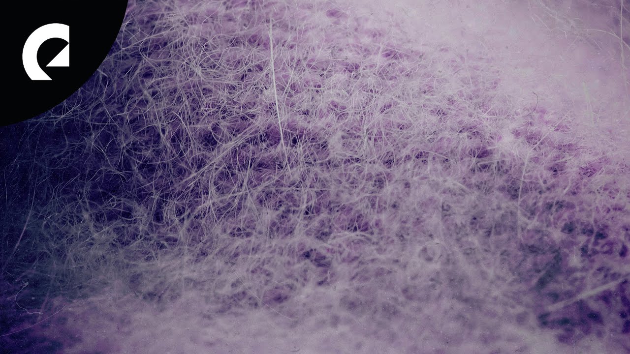 Dylan Sitts - Cashmere Gifts