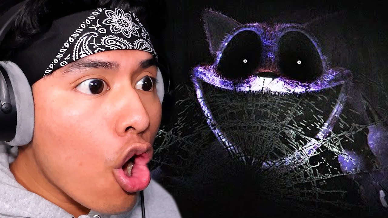 VHS-кассета Catnap очень завораживает!!! | Poppy Playtime Analog Horror