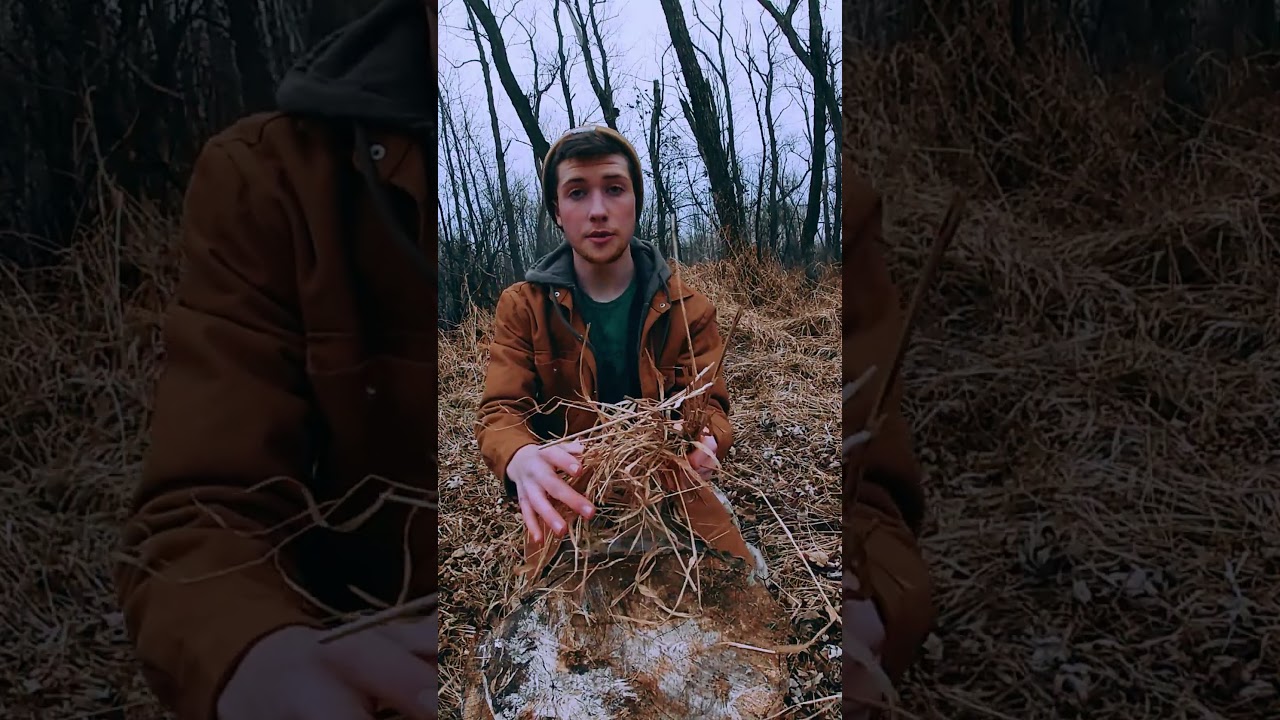 BEST WAY To Make A Tinder Bundle! (Bird's Nest) #shorts #fire #survival #bushcraft