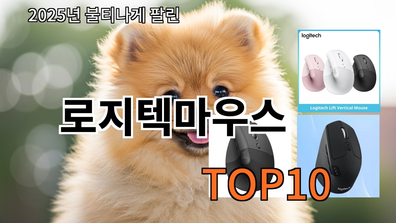 알리 로지텍마우스 실사용 후 추천하고 싶은 제품