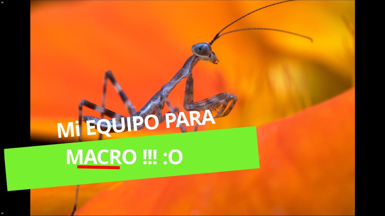 MI EQUIPO DE FOTOGRAFIA MACRO Y MACRO EXTREMO!! 😁😎😱