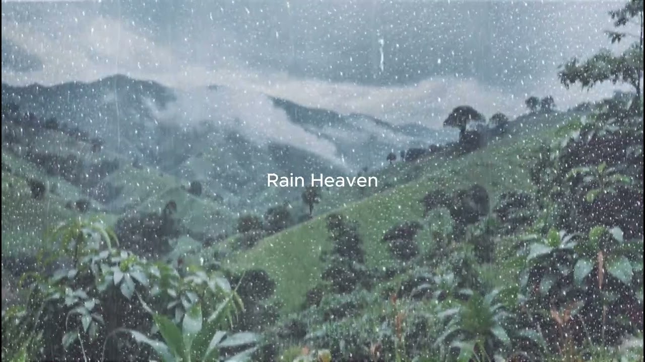 Night Rain and Thunder for Sleeping | Soothing Storm Sounds