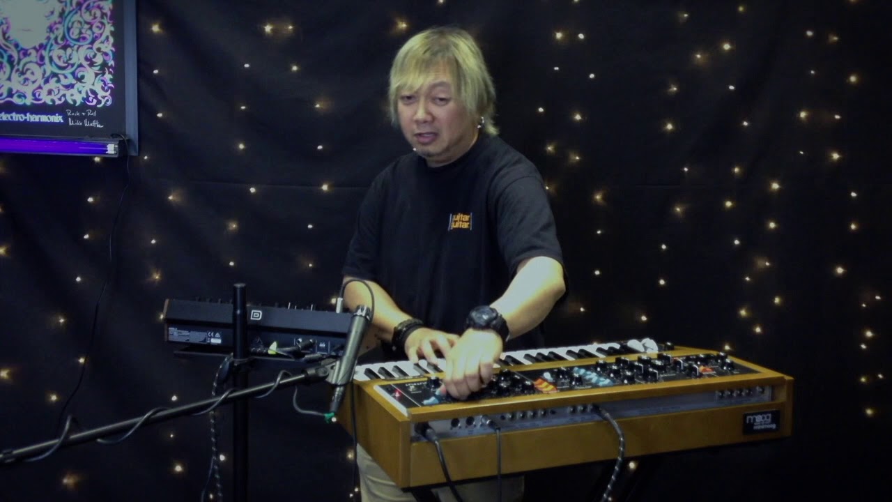 Behringer VS Moog | Model D's | (£300 VS £3000)