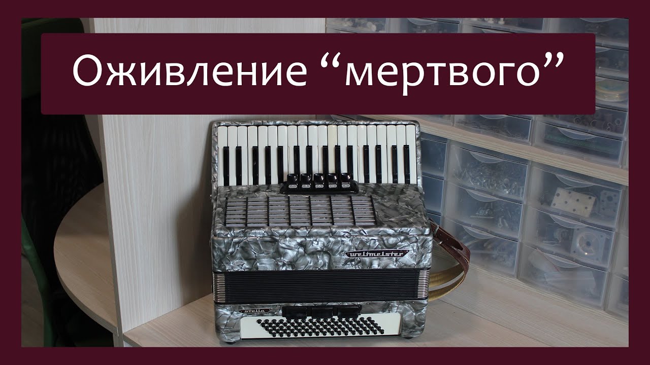 Трудовые будни / Ремонт Аккордеона 