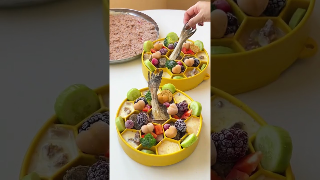 慢食碗午餐，真挺慢的，这顿7分钟 #自制狗饭 #狗狗配餐 #配粮 #喂猫日记