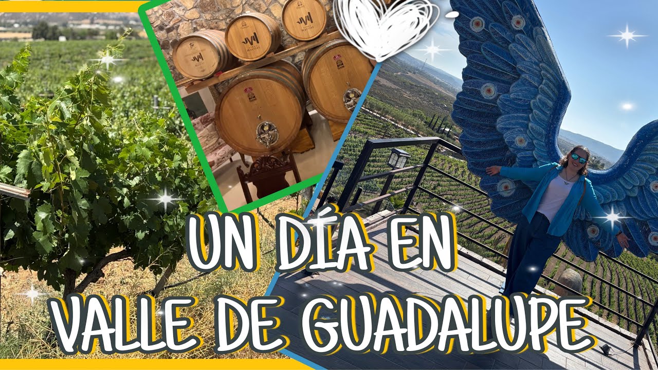 Conoce con Luz Valle de Guadalupe en 1 día 