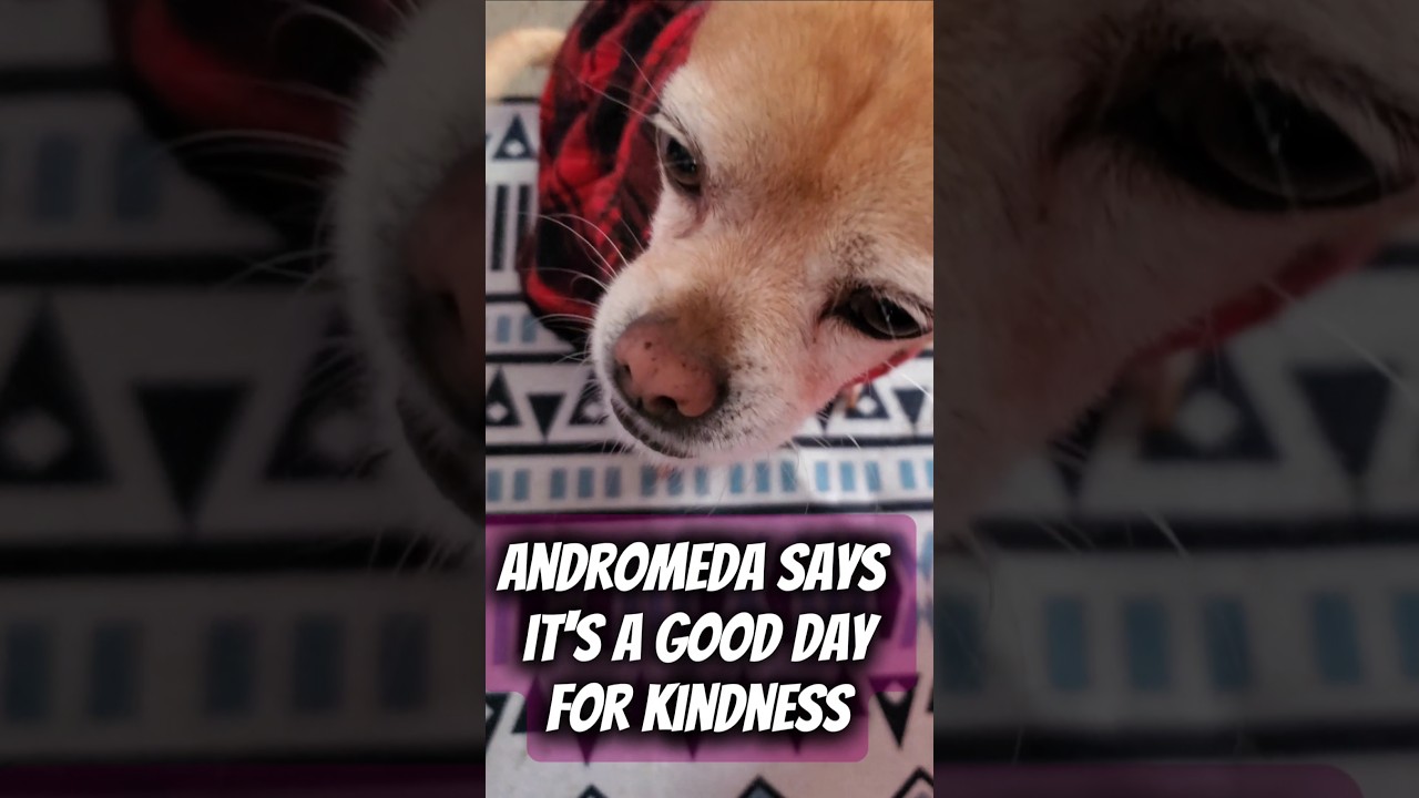 This kindness makes a big difference 💫 Random Acts of Kindness