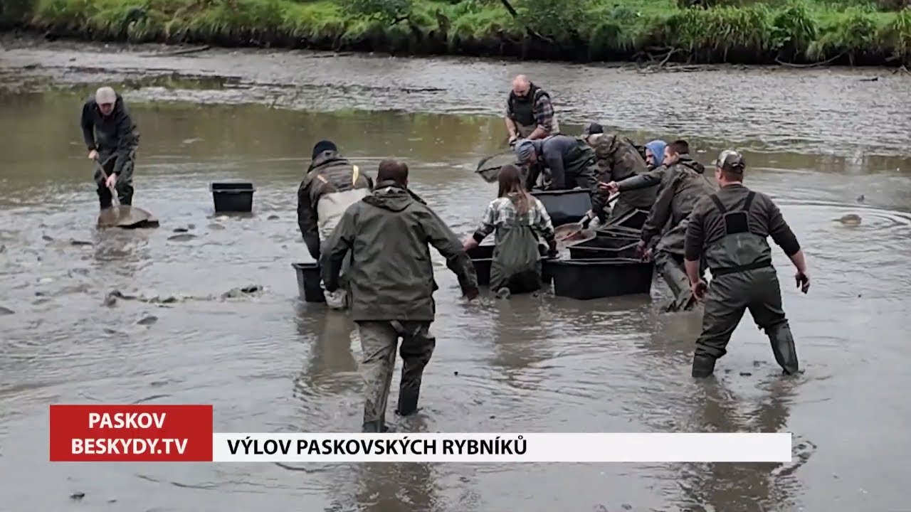 Tradiční výlov paskovských rybníků │ #Beskydy.TV │ @BeskydskaTelevize​