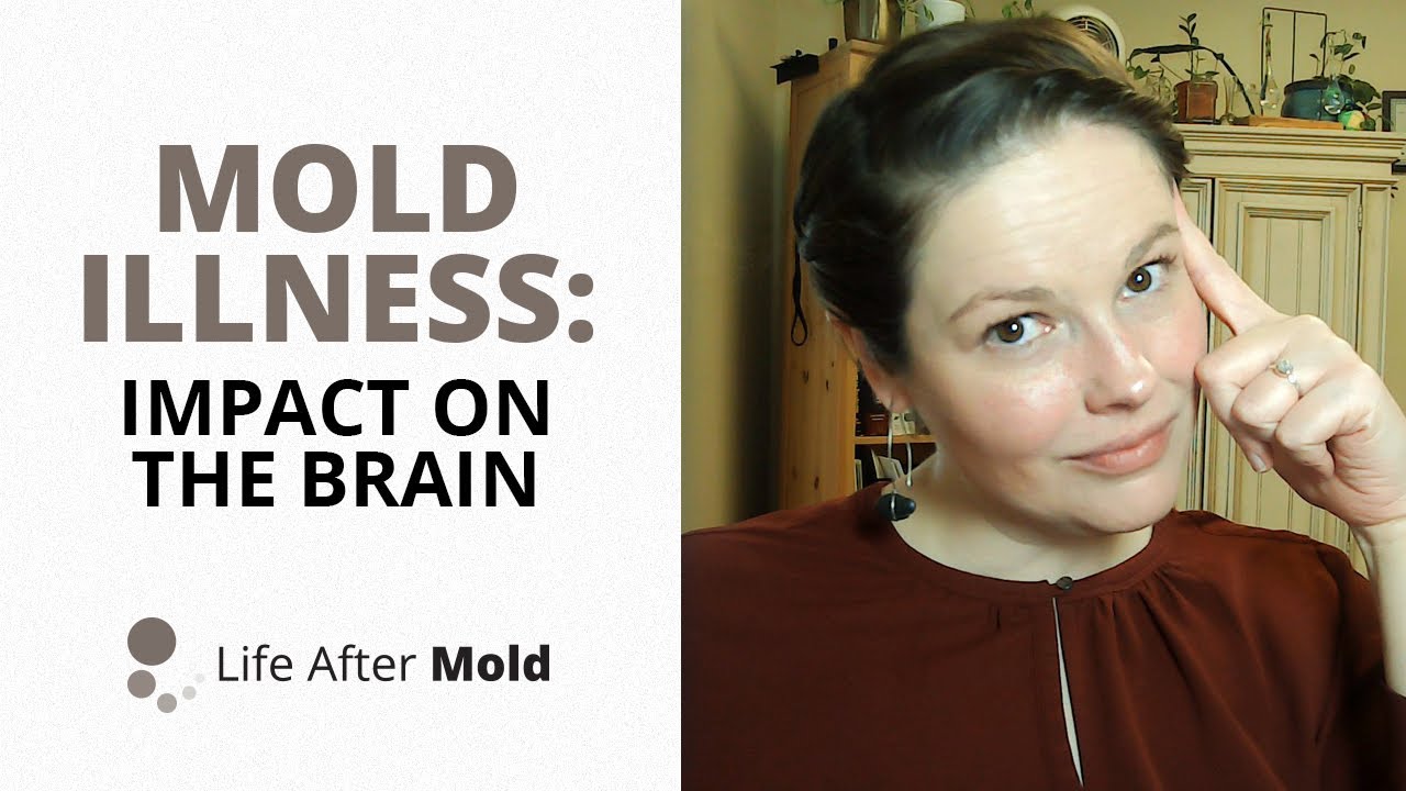Mold Illness: Impact on The Brain