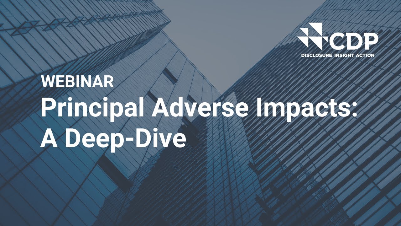 Deep-Dive into Principal Adverse Impacts |  #1 EU Sustainable Finance Webinar Series
