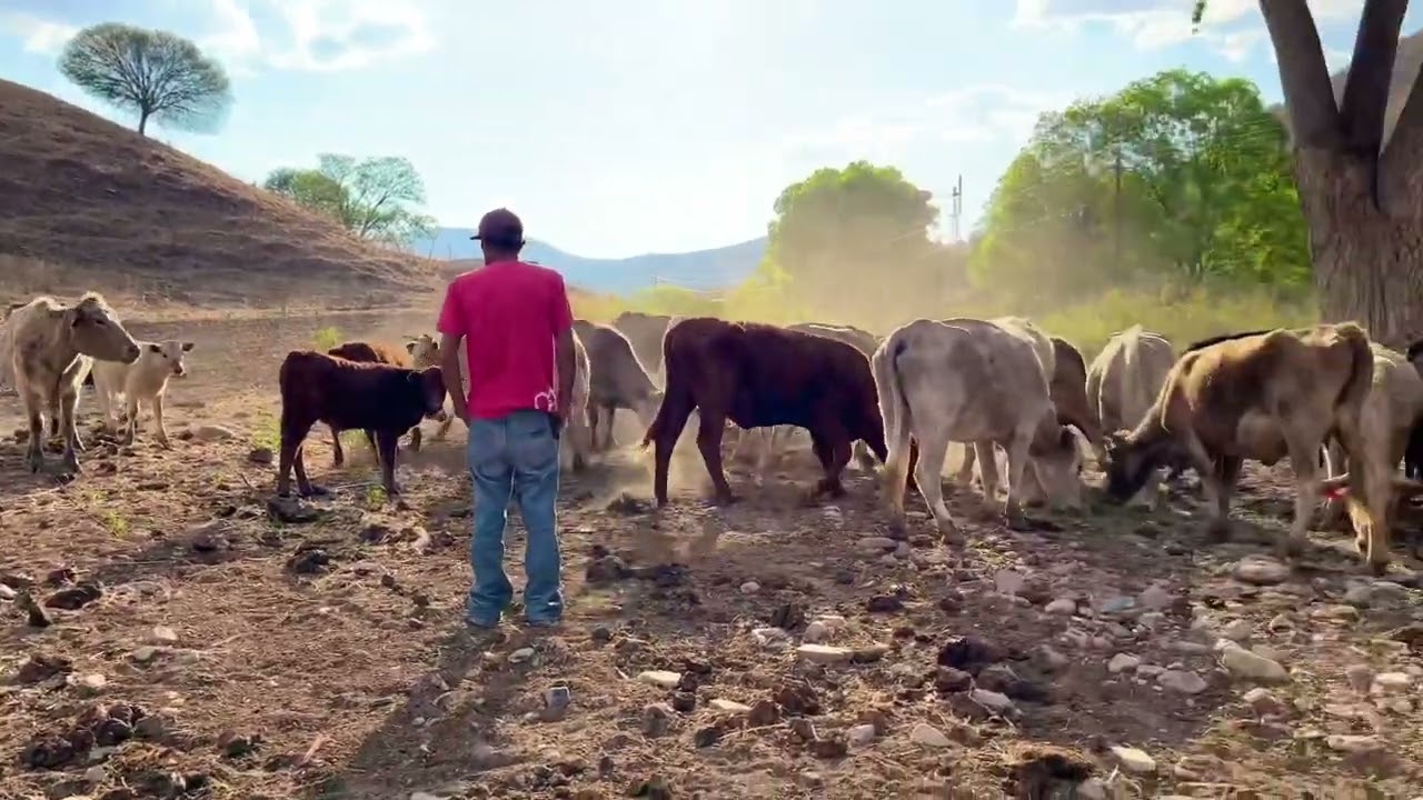 LOS GARCÍA DE PARRAL (OFICIAL) “LA SECA”