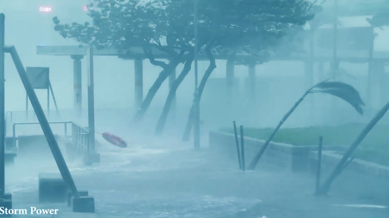 🔴 Terrible Storm Wipha in Beach - Heavy Rainstorm & Powerful Thunder Sound, Very Strong Howling Wind