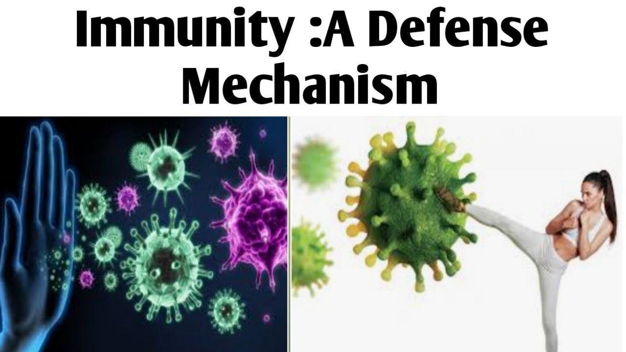 Immunity|Biotechnology| Unit 3|B.Pharm 6 Sem #immunity