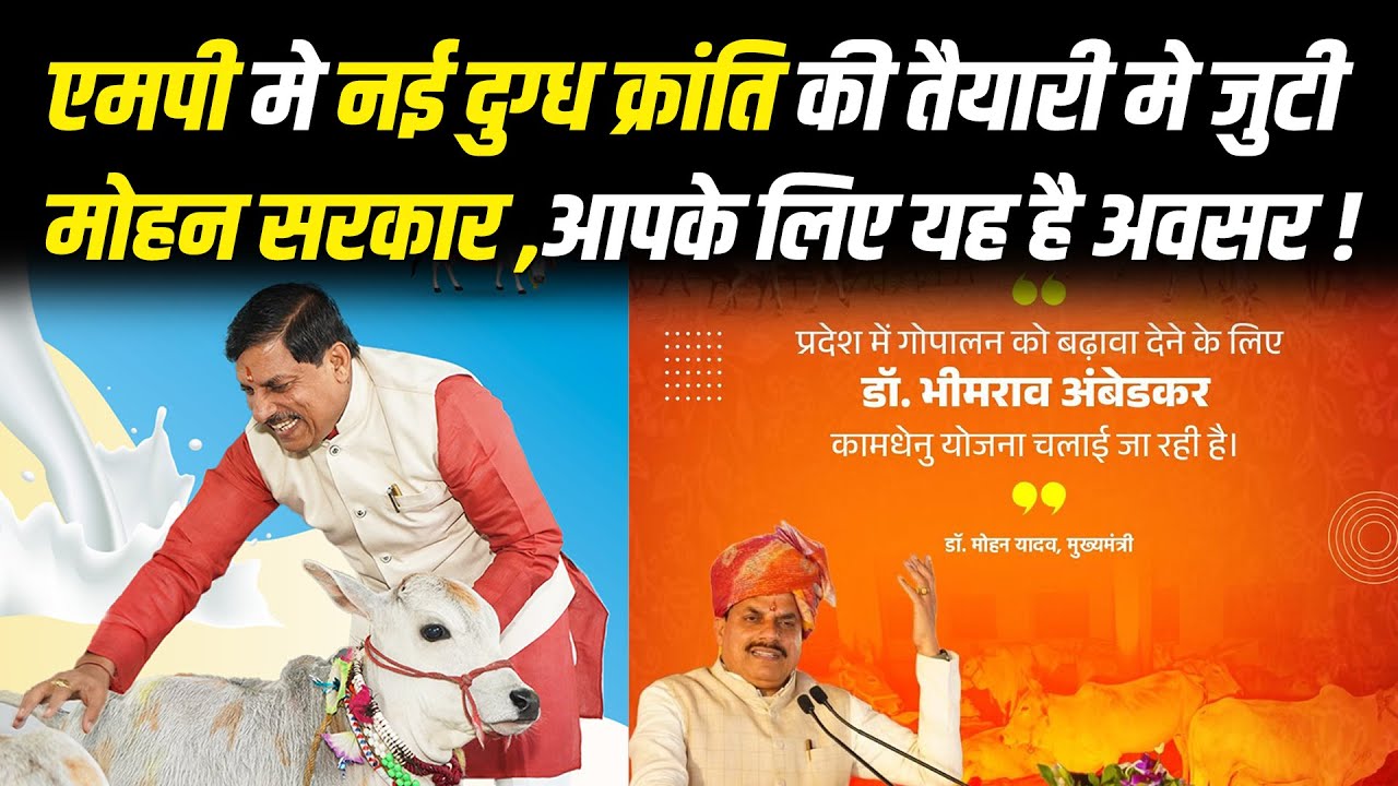एमपी मे नई दुग्ध क्रांति की तैयारी मे जुटी मोहन सरकार ,आपके लिए यह है अवसर !#cblive