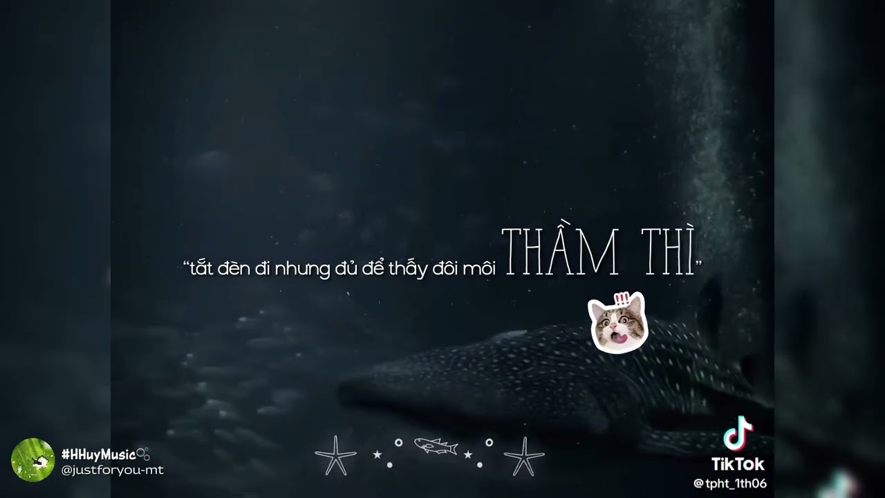[TIKTOK] 🎶Tổng hợp những video lyric cực cuốn hot trên TikTok mà bạn nên nghe thử..🎵