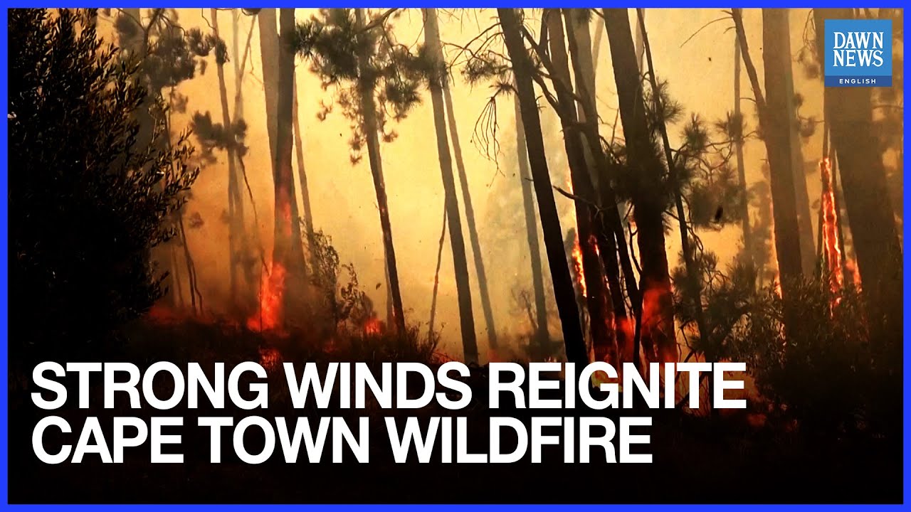 Strong Winds Reignite Cape Town Wildfire | Dawn News English