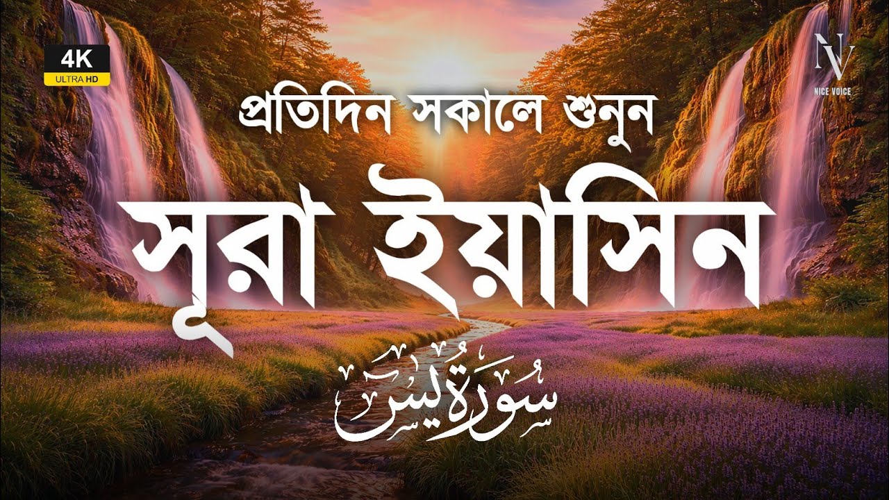 🌿 মন হবে প্রশান্ত | প্রতিদিন সকালে শুনুন সূরা ইয়াসিন | Surah Yaseen | Alaa Aqel | Nice Voice