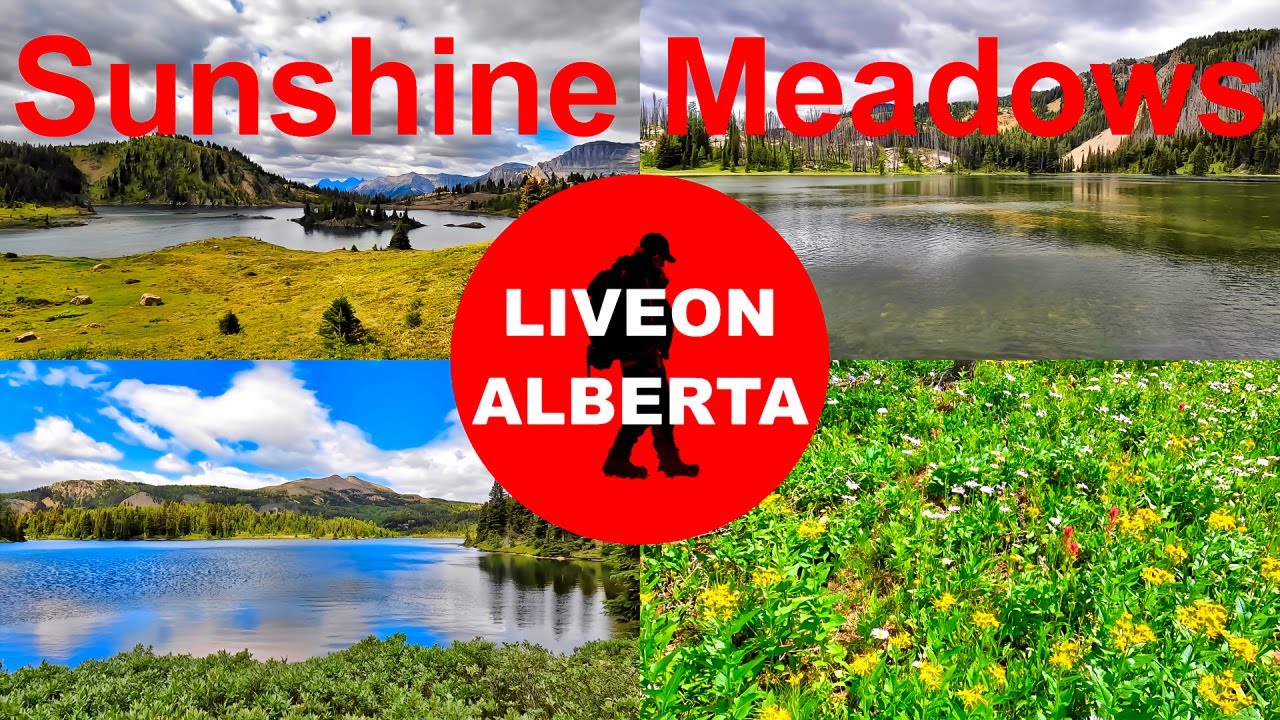 BREATHTAKING ALPINE ADVENTURE: Sunshine Meadows Hike #canadianrockies