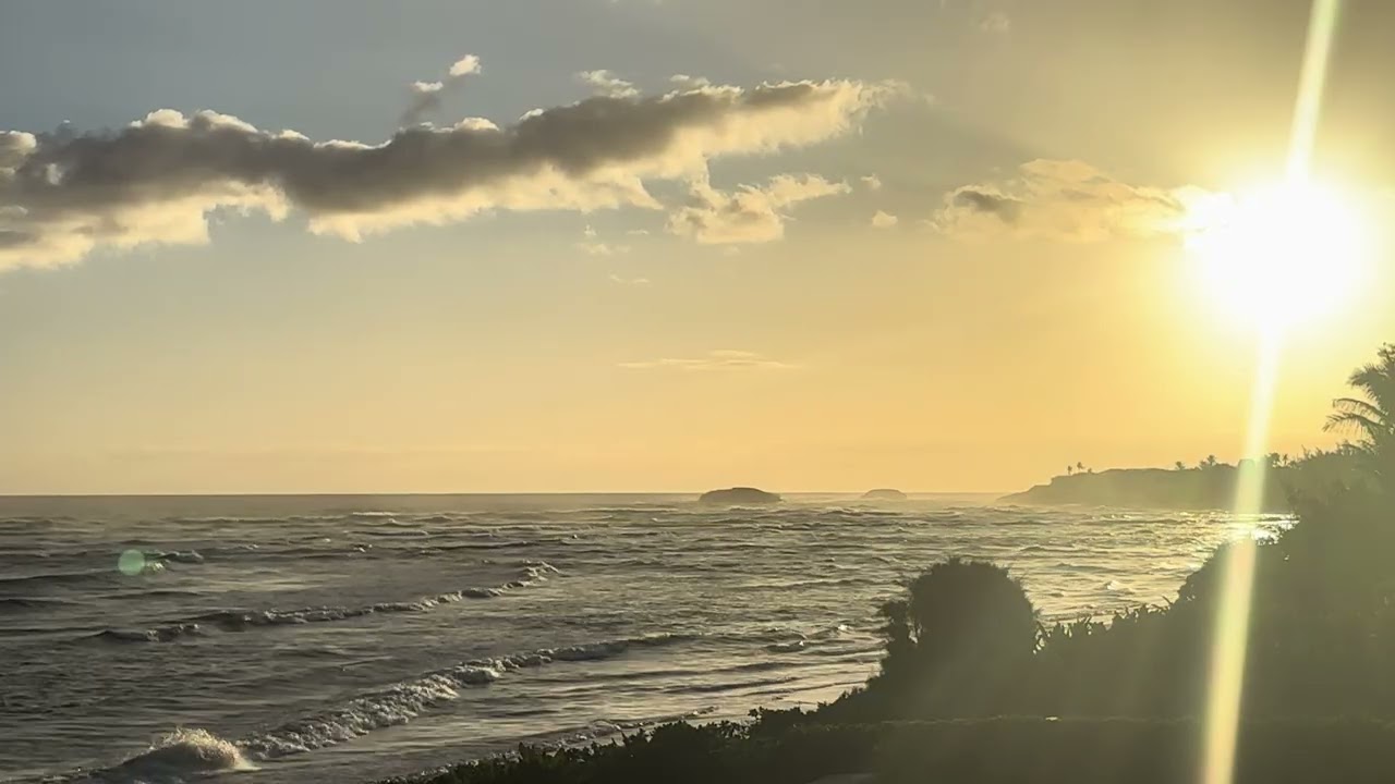SUNRISE SHACK