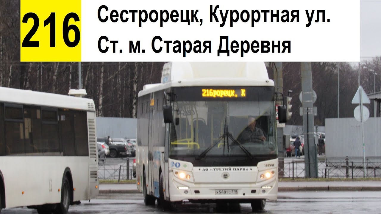 Автобус 216 