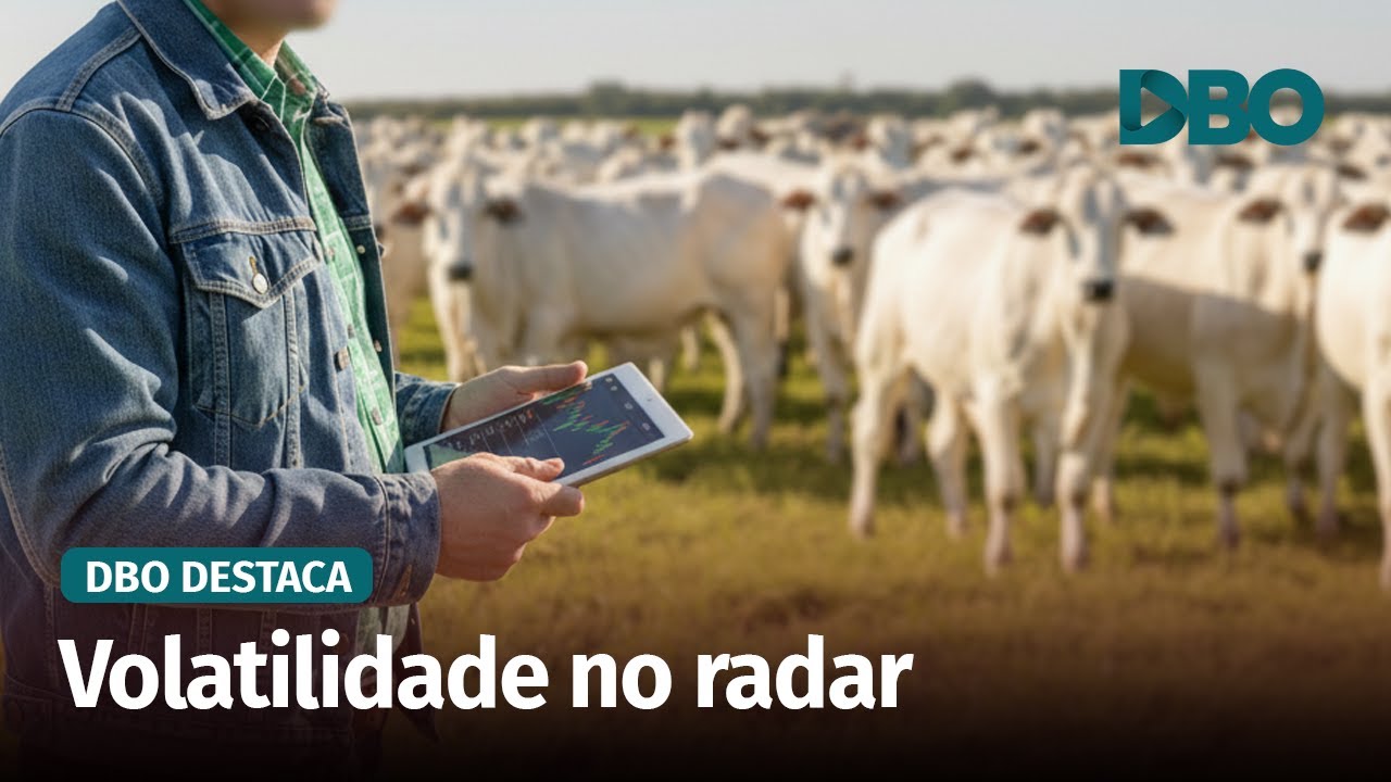 É hora de se proteger? O que o mercado futuro do boi sinaliza para 2026